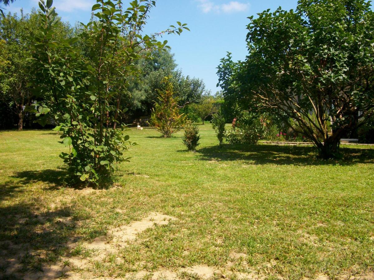 Bed and Breakfast Domaine de Monein Saint-André-de-Cubzac Esterno foto
