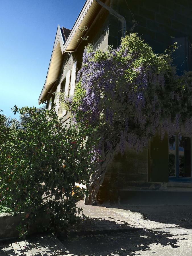 Bed and Breakfast Domaine de Monein Saint-André-de-Cubzac Esterno foto
